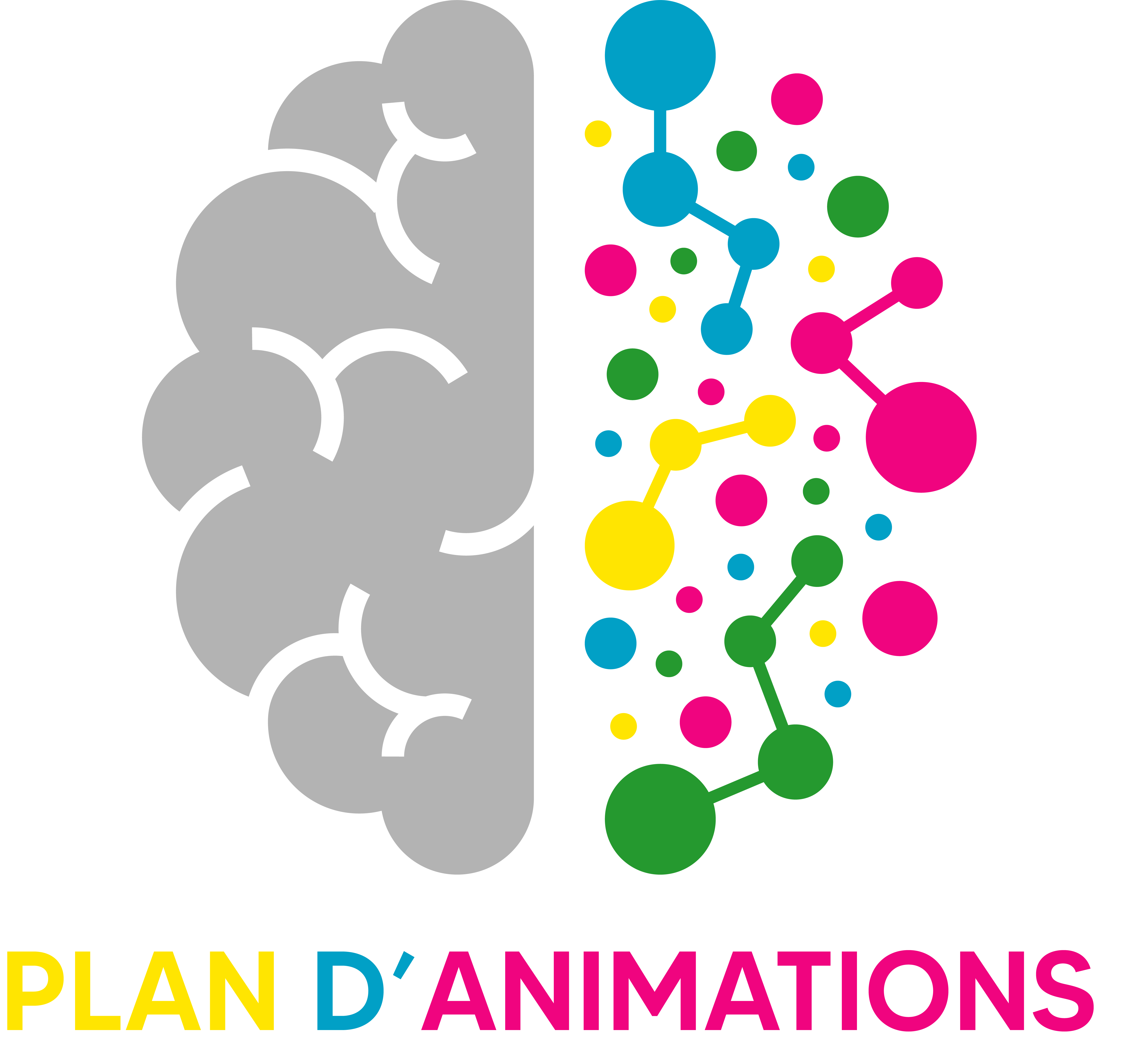 Plan animations 2024/2025